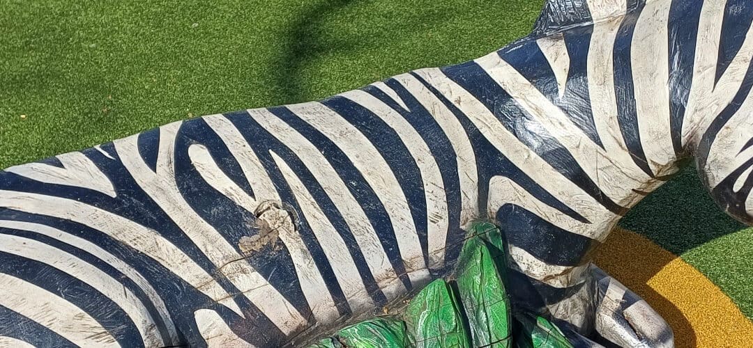 1. Duisburger Zebra Cup – 08.11.2026 – Offizielles Turnier