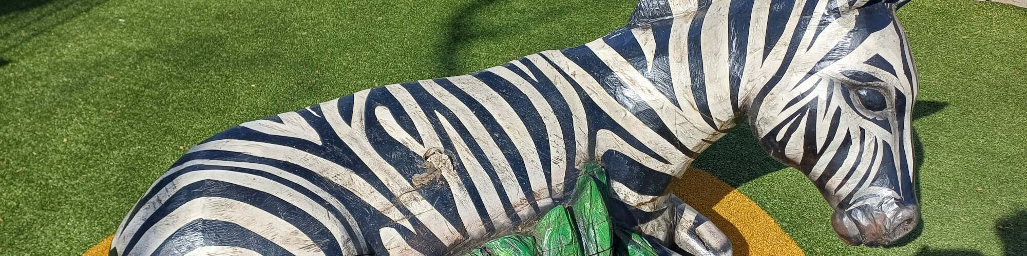 Slider Zebra Zebra Cup